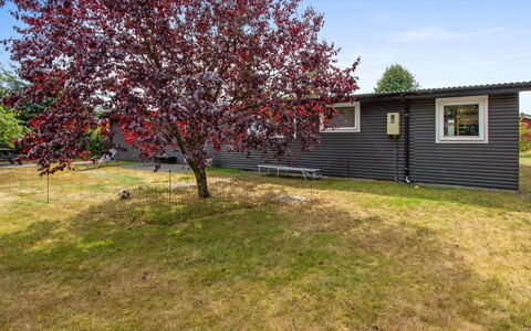 Svend - 1.5Km from the Sea: Bunddække, Forår, Lawn, Gård, Have, Backyard, Parkere