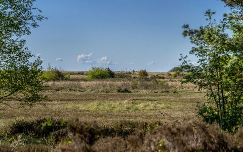 Annestine - 200M from the Sea: Himmel, Blå, Græs, Naturligt Miljø, Vegetationen, Græs-, Naturlige Landskab, Økoregion, Busk, Plantesamfund