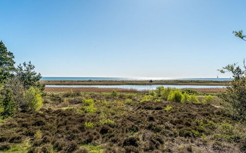 Annestine - 200M from the Sea: Plantesamfund, Sollys, Urteagtig Plante, Have, Plantation, Landbrug, Farm