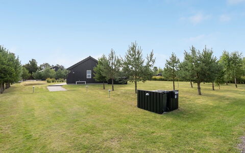 Thure - 1Km from the Sea: Plantesamfund, Sollys, Urteagtig Plante, Have, Plantation, Landbrug, Farm