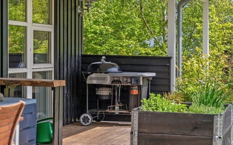 Berta - 300M from the Sea: Plantesamfund, Sollys, Urteagtig Plante, Have, Plantation, Landbrug, Farm