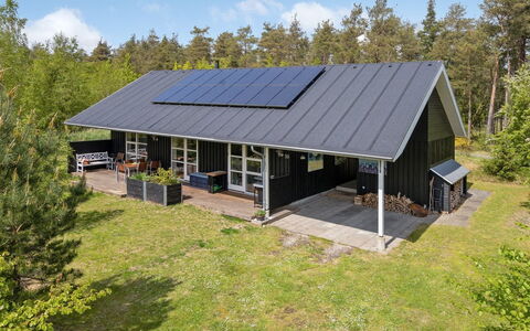 Berta - 300M from the Sea: Plantesamfund, Sollys, Urteagtig Plante, Have, Plantation, Landbrug, Farm