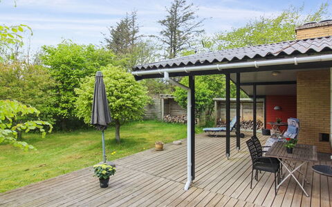 Leif - 550M from the Sea: Plantesamfund, Sollys, Urteagtig Plante, Have, Plantation, Landbrug, Farm