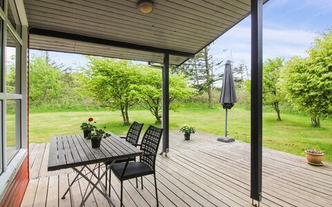 Leif - 550M from the Sea: Plantesamfund, Sollys, Urteagtig Plante, Have, Plantation, Landbrug, Farm