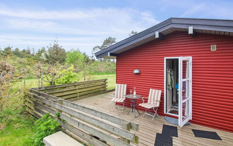 Leif - 550M from the Sea: Plantesamfund, Sollys, Urteagtig Plante, Have, Plantation, Landbrug, Farm