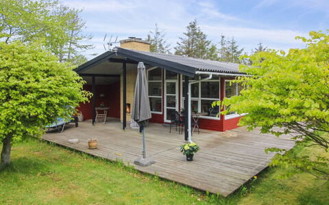 Leif - 550M from the Sea: Plantesamfund, Sollys, Urteagtig Plante, Have, Plantation, Landbrug, Farm