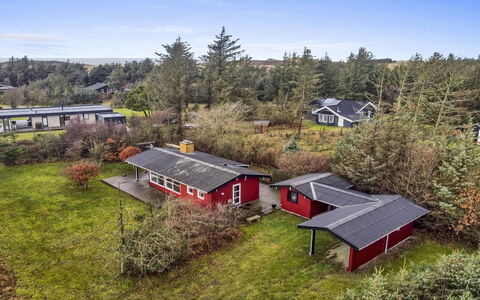 Leif - 550M from the Sea: Plantesamfund, Sollys, Urteagtig Plante, Have, Plantation, Landbrug, Farm