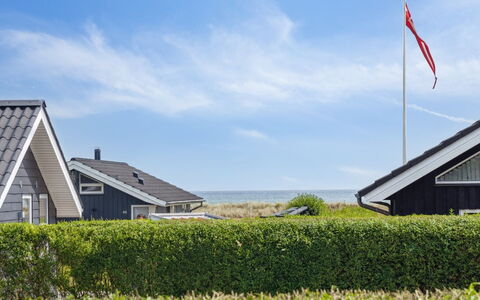 Gertrud - from the Sea: Plantesamfund, Sollys, Urteagtig Plante, Have, Plantation, Landbrug, Farm
