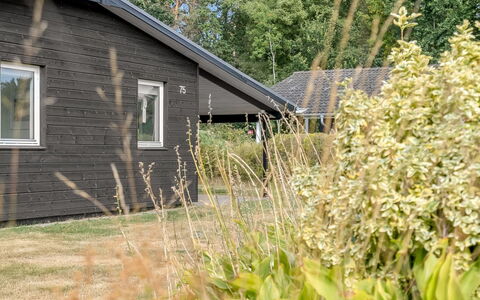 Sveina - 600M from the Sea: Hus, Busk, Hjem, Sommerhus, Sidespor, Bunddække, Garden Bygninger, Have, Backyard, Gård