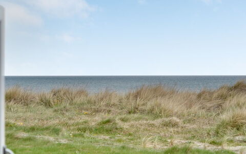 Adina - 50M from the Sea: Plantesamfund, Sollys, Urteagtig Plante, Have, Plantation, Landbrug, Farm