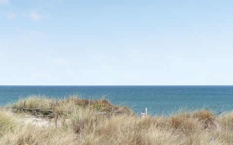 Adina - 50M from the Sea: Plantesamfund, Sollys, Urteagtig Plante, Have, Plantation, Landbrug, Farm