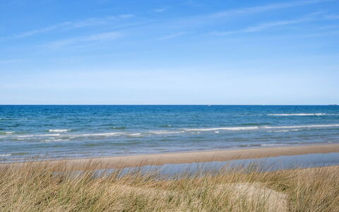 Tjarko - 150M from the Sea: Træ, Plantesamfund, Land Lot, Skygge, Naturmateriale, Garden Bygninger, Skur, Udendørs Struktur, Bjælkehytte