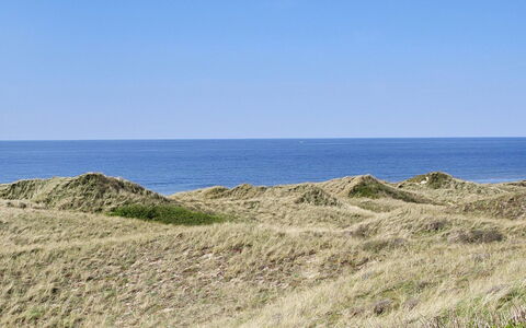 Mafalda - 260M from the Sea: Træ, Tag, Hus, Sommerhus, Dør, Hjem, Sidespor, Land Lot, Garden Bygninger, Skur
