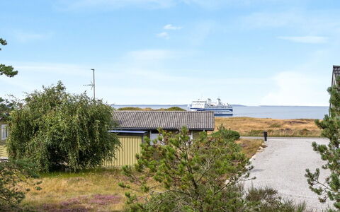 Asmara - 200M from the Sea: Vegetationen, Busk, Land Lot, Plantesamfund, Hav, Kyst, Ocean, Shrubland
