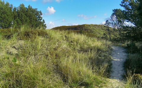 Lewe - 150M from the Sea: Blå, Busk, Sommerhus, Bunddække, Have, Estate, Skygge, Landscaping, Stuehus, Eco Hotel