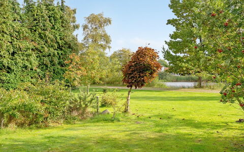Aksa - 400M from the Sea: Blad, Træ, Grøn, Græs, Afdeling, Vegetationen, Busk, Græs-, Almindeligt, Land Lot