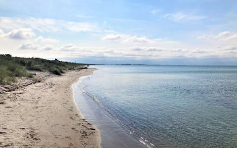 Kustaa - 1Km from the Sea: Græs, Græs-, Landskab, Økoregion, Almindeligt, Plantesamfund, Land Lot, Udendørs Møbler, Prærie, Shrubland