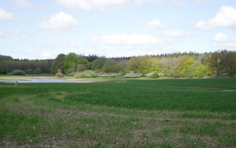 Thia - 4Km to the Fjord: Boligområde, Tag, Forstad, Indkørsel, Estate, Skorsten