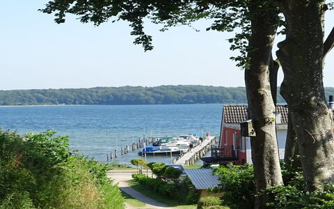 Veselin - 100M from the Sea: Træ, Tag, Arkitektur, Hjem, Hus, Sommerhus, Sidespor, Hårdttræ, Hældning, Estate