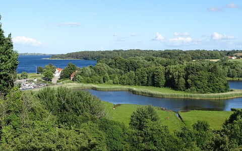 Veselin - 100M from the Sea: Træ, Tag, Arkitektur, Hjem, Hus, Sommerhus, Sidespor, Hårdttræ, Hældning, Estate