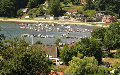 Veselin - 100M from the Sea