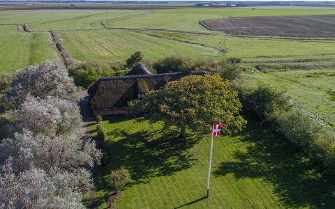 Knut - 10Km from the Sea: Træ, Bejdse, Planke, Hårdttræ, Sommerhus, Dæk, Sidespor, Skygge, Trægulve, Garden Bygninger