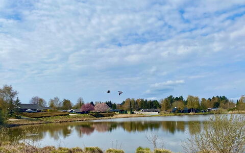 Athisl - 800M from the Sea: Himmel, Vand, Vandressourcer, Naturligt Miljø, Natur, Naturlige Landskab, Bank, Vandløb, Marsk