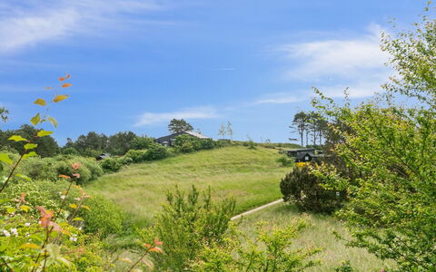 Arntraud - 250M from the Sea: Græs, Græs-, Land Lot, Sommerhus, Landdistrikt, Eng, Garden Bygninger, Have, Skur