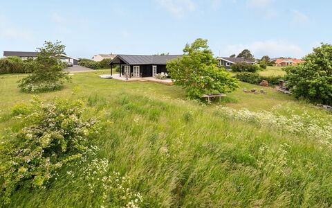 Siebelt - 200M from the Sea: Grøn, Græs, Vegetationen, Græs-, Busk, Land Lot, Plantesamfund, Landdistrikt, Bunddække