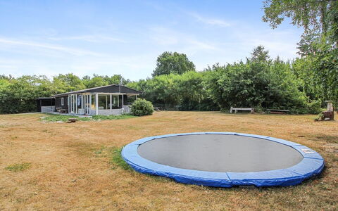 Eldina - 100M from the Sea: Træ, Græs, Trampolin, Trampolinspring - Udstyr Og Materiel, Landskab, Land Lot, Almindeligt, Have, Skygge
