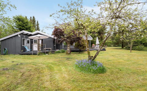 Syrina: Tag, Hus, Hjem, Sommerhus, Sidespor, Estate, Indkørsel, Garden Bygninger, Gård, Skur