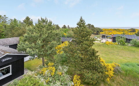Jaskirt - 125M from the Sea: Grøn, Vegetationen, Busk, Plantesamfund, Land Lot, Bunddække, Have, Eng, Landscaping