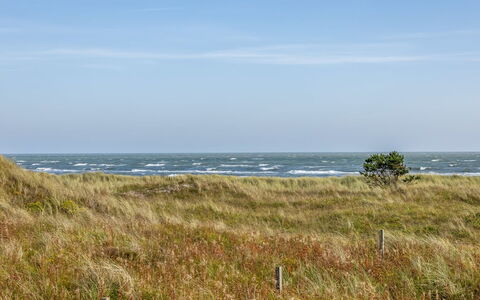 Jenson - 75M from the Sea: Sne, Vinter, Træ, Sommerhus, Hus, Tag, Hytte, Hjem, Fryser, Bjælkehytte