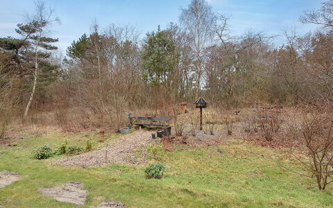 Enni - 100M from the Sea: Græs, Busk, Land Lot, Plantesamfund, Jord, Sti, Woodland, Shrubland