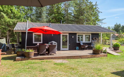 Sybille - from the Sea: Tag, Hus, Hjem, Sommerhus, Sidespor, Estate, Indkørsel, Garden Bygninger, Gård, Skur