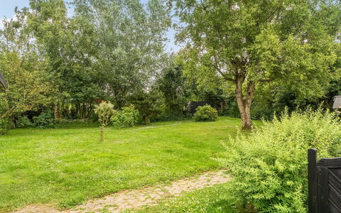 Gia - 1.3Km from the Sea: Træ, Busk, Have, Land Lot, Lawn, Forår, Bunddække, Skygge, Vedplante
