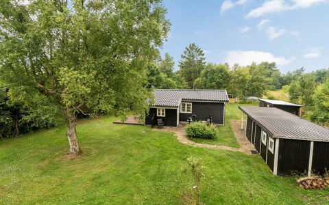 Gia - 1.3Km from the Sea: Græs, Busk, Hus, Sommerhus, Landdistrikt, Land Lot, Hjem, Have, Lawn, Bunddække