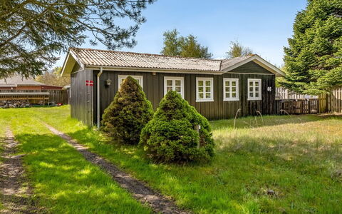 Ingobert - 50M from the Sea: Græs, Græs-, Landskab, Økoregion, Almindeligt, Plantesamfund, Land Lot, Udendørs Møbler, Prærie, Shrubland