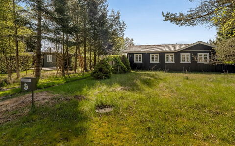 Ingobert - 50M from the Sea: Græs, Græs-, Landskab, Økoregion, Almindeligt, Plantesamfund, Land Lot, Udendørs Møbler, Prærie, Shrubland