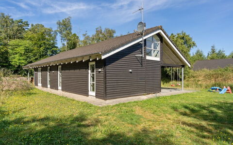 Kringfod - 590M from the Sea: Græs, Græs-, Landskab, Økoregion, Almindeligt, Plantesamfund, Land Lot, Udendørs Møbler, Prærie, Shrubland
