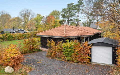 Ribanna - 650M from the Sea: Tag, Hjem, Dør, Sommerhus, Skygge, Sidespor, Gård, Estate, Backyard