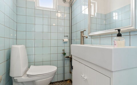 Gadde - 1Km from the Sea: Toiletbræt, Badeværelse, Toilet, Sanitærarmatur, Væg, Gulvbelægning, Indretning, Etage, Håndvask, Badeværelsesvask