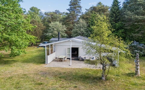 Rietrikki - 1.5Km from the Sea: Træ, Græs, Hus, Hjem, Sommerhus, Land Lot, Busk, Tag, Landdistrikt