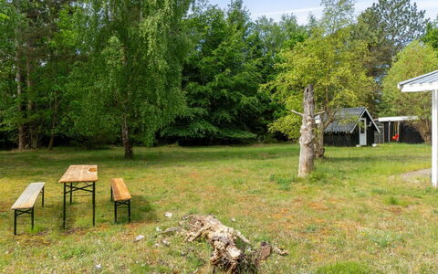 Rietrikki - 1.5Km from the Sea: Træ, Græs, Land Lot, Landdistrikt, Lawn, Bagagerum, Forår, Woodland, Have