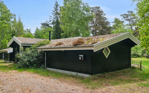 Nititzki - 600M from the Sea: Hjem, Sommerhus, Veranda, Sidespor, Stuehus, Udendørs Struktur