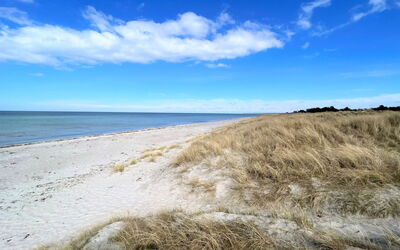 Miljanka - 175M from the Sea