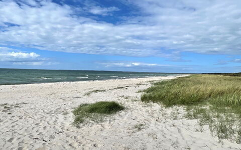 Efka - 175M from the Sea: Tag, Hus, Land Lot, Hjem, Sommerhus, Estate, Garden Bygninger, Skygge, Bjælkehytte, Landscaping