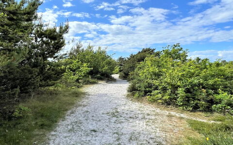 Efka - 175M from the Sea: Tag, Hus, Land Lot, Hjem, Sommerhus, Estate, Garden Bygninger, Skygge, Bjælkehytte, Landscaping