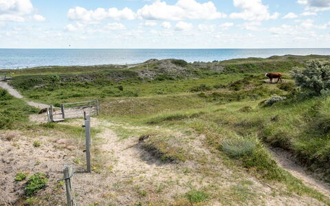 Lisbeth - 400M from the Sea: Tag, Hus, Hjem, Sommerhus, Sidespor, Estate, Indkørsel, Garden Bygninger, Gård, Skur