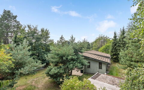 Sini - 300M from the Sea: Tag, Hus, Hjem, Sommerhus, Dør, Sidespor, Dæk, Veranda, Planke, Hårdttræ